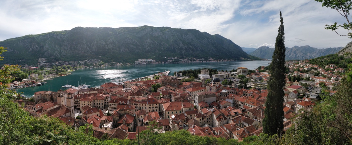 Kotor